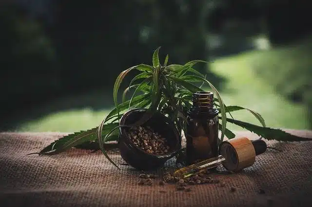 Conservation fleurs CBD 