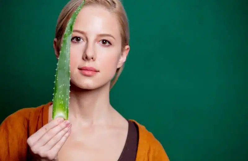 Aloe vera cheveux comment éviter les dangers