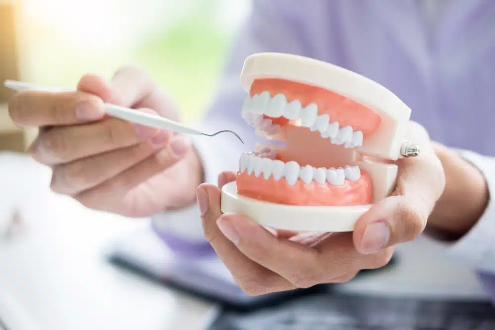 Les différentes options de prothèse dentaire : quelles sont les meilleures ?