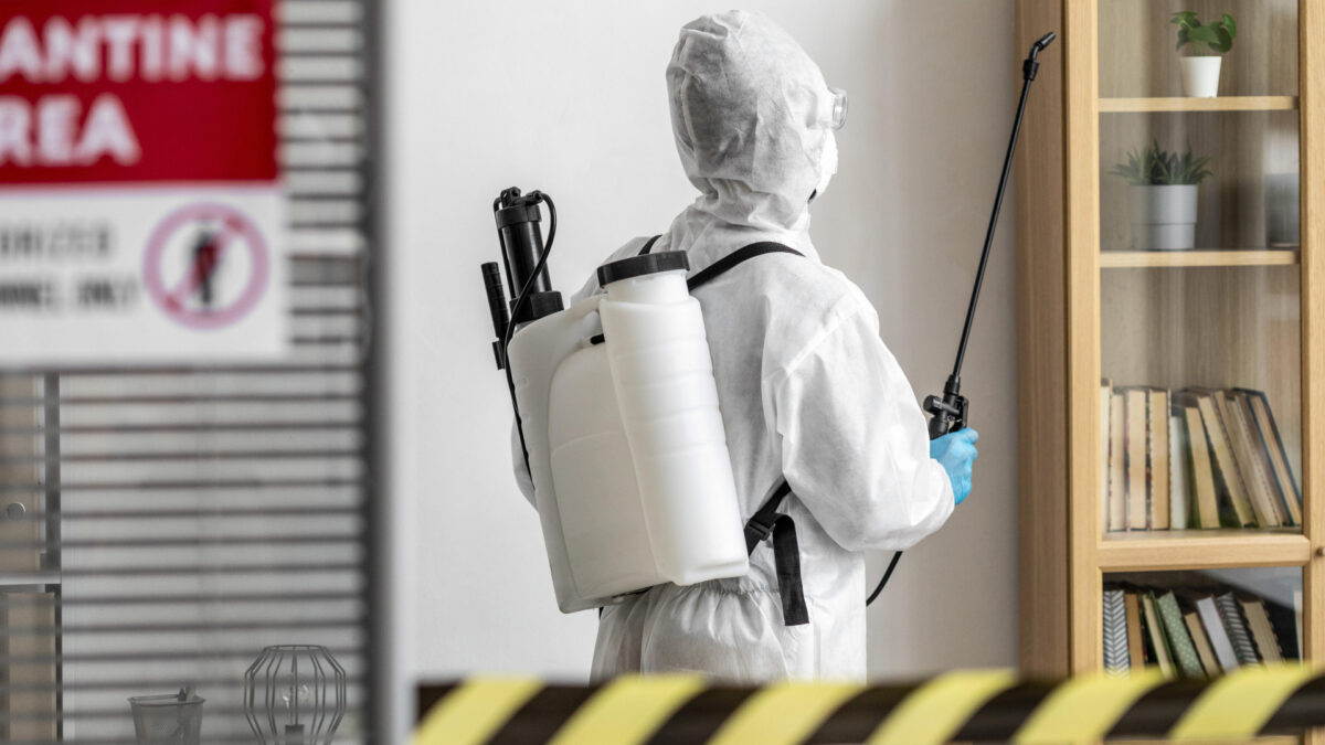 Désinsectisation professionnelle à Rabat : cafards, moustiques, fourmis… quand faut-il appeler un spécialiste ?